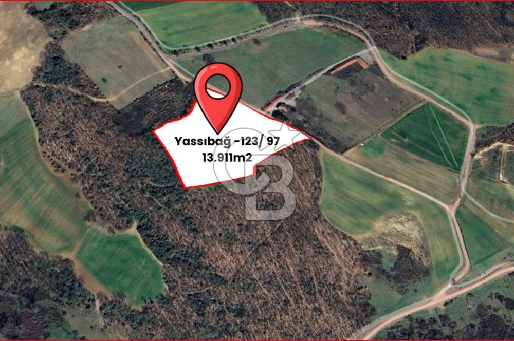 İZMİT YASSIBAĞ KANDIRA OTOYOLUNA YAKIN FIRSAT 13.911 m2