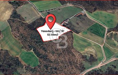 İZMİT YASSIBAĞ KANDIRA OTOYOLUNA YAKIN FIRSAT 13.911 m2