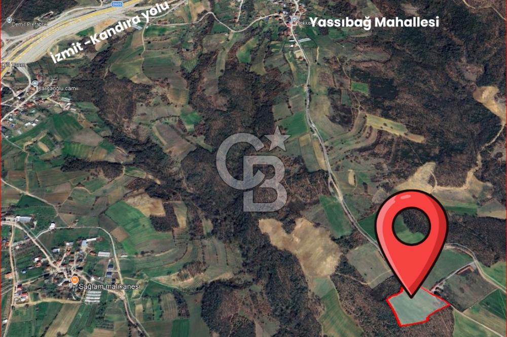 İZMİT YASSIBAĞ KANDIRA OTOYOLUNA YAKIN FIRSAT 13.911 m2