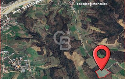 İZMİT YASSIBAĞ KANDIRA OTOYOLUNA YAKIN FIRSAT 13.911 m2