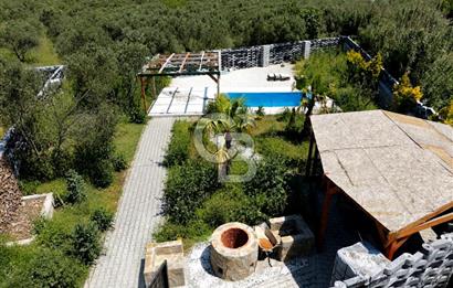 Urla Özbek'te Havuzlu Lüks Peyzajlı Yola Cephe Tarla