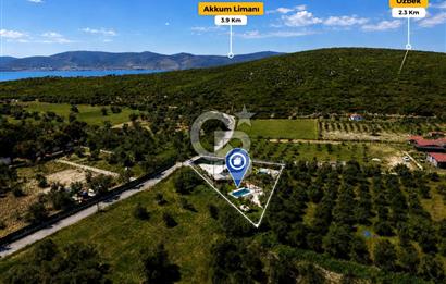 Urla Özbek'te Havuzlu Lüks Peyzajlı Yola Cephe Tarla