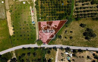 Urla Özbek'te Havuzlu Lüks Peyzajlı Yola Cephe Tarla