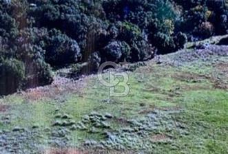 DEMRE YAVUDA ORMAN YOLU AÇILMIŞ YATIRIMLIK ARAZİ - 1 - 350626