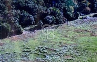 DEMRE YAVUDA ORMAN YOLU AÇILMIŞ YATIRIMLIK ARAZİ