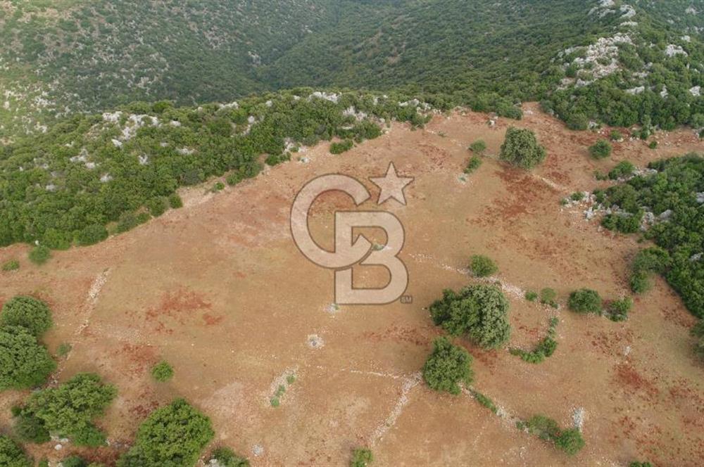 DEMRE YAVUDA ORMAN YOLU AÇILMIŞ YATIRIMLIK ARAZİ