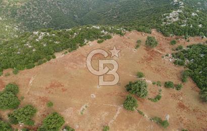 DEMRE YAVUDA ORMAN YOLU AÇILMIŞ YATIRIMLIK ARAZİ