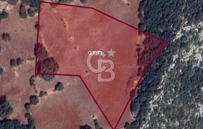 DEMRE YAVUDA ORMAN YOLU AÇILMIŞ YATIRIMLIK ARAZİ