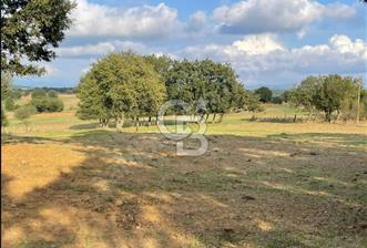 ÇANAKKALE ÇAN KOCAYAYLA SATILIK TARLA ARAÇ TAKASINA UYGUN - 1 - 350589