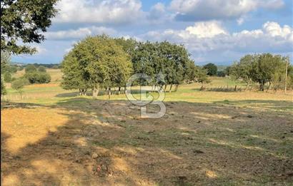 ÇANAKKALE ÇAN KOCAYAYLA SATILIK TARLA ARAÇ TAKASINA UYGUN