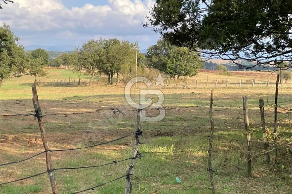 ÇANAKKALE ÇAN KOCAYAYLA SATILIK TARLA ARAÇ TAKASINA UYGUN