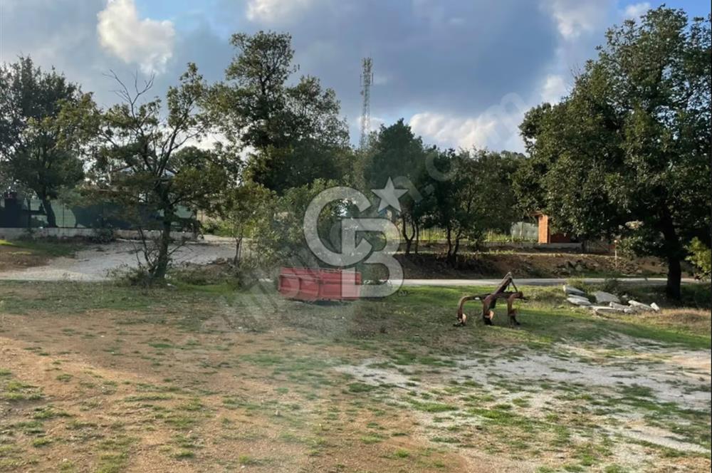 ÇANAKKALE ÇAN KOCAYAYLA SATILIK TARLA ARAÇ TAKASINA UYGUN