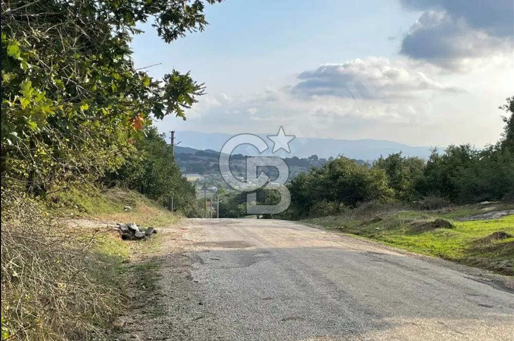 ÇANAKKALE ÇAN KOCAYAYLA SATILIK TARLA ARAÇ TAKASINA UYGUN