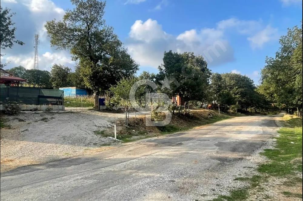 ÇANAKKALE ÇAN KOCAYAYLA SATILIK TARLA ARAÇ TAKASINA UYGUN