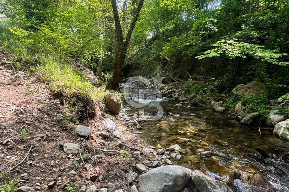 Kazdağları'nın Eteklerinde, Çırpılar Köyü'nde 18,8 Dönüm Tarla