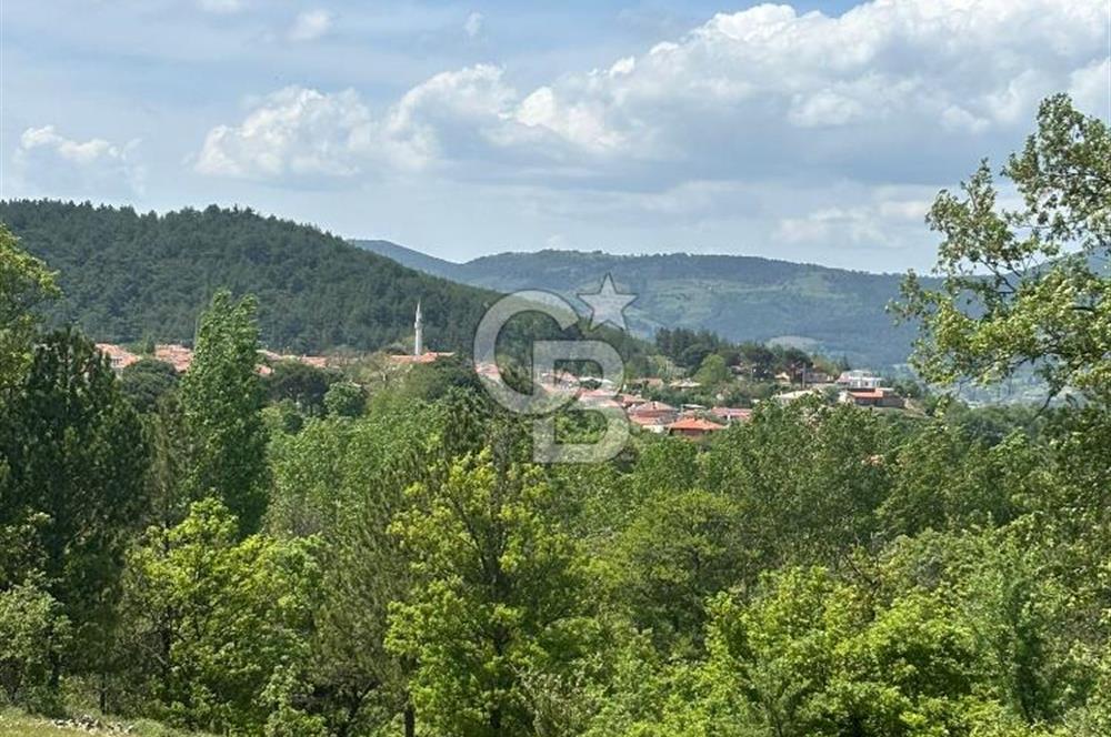 Kazdağları'nın Eteklerinde, Çırpılar Köyü'nde 18,8 Dönüm Tarla