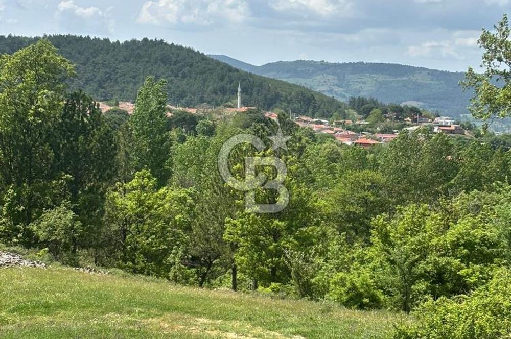 Kazdağları'nın Eteklerinde, Çırpılar Köyü'nde 18,8 Dönüm Tarla