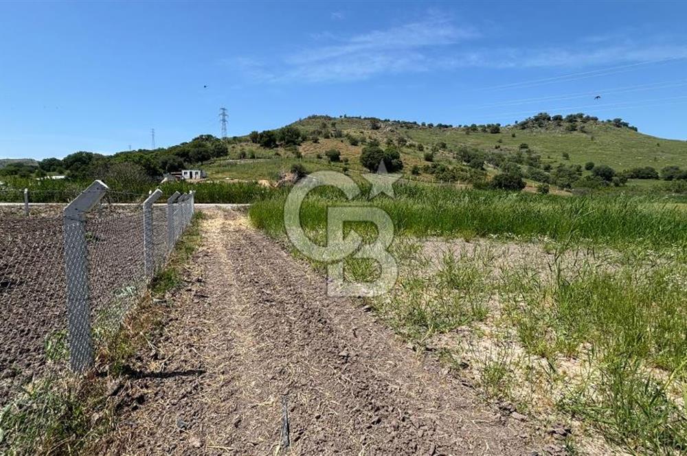 C.B. ROUTE | DİKİLİ İSMETPAŞA’DA YOLA CEPHE 4.628 m² SATILIK TARLA
