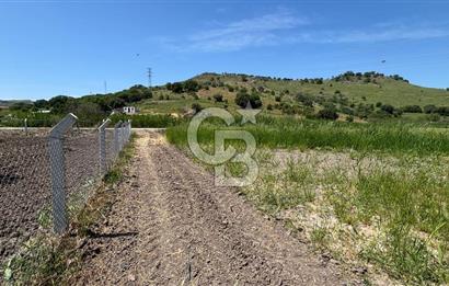 C.B. ROUTE | DİKİLİ İSMETPAŞA’DA YOLA CEPHE 4.628 m² SATILIK TARLA
