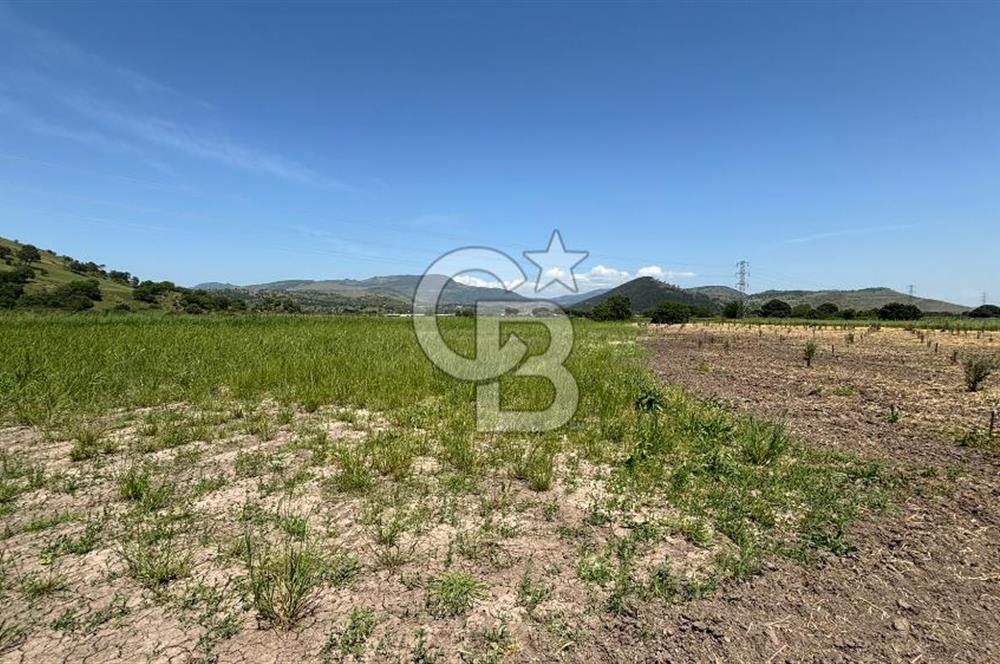 C.B. ROUTE | DİKİLİ İSMETPAŞA’DA YOLA CEPHE 4.628 m² SATILIK TARLA