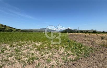 C.B. ROUTE | DİKİLİ İSMETPAŞA’DA YOLA CEPHE 4.628 m² SATILIK TARLA