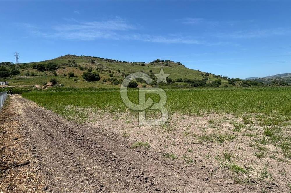 C.B. ROUTE | DİKİLİ İSMETPAŞA’DA YOLA CEPHE 4.628 m² SATILIK TARLA