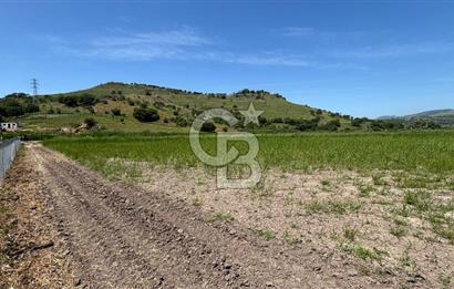C.B. ROUTE | DİKİLİ İSMETPAŞA’DA YOLA CEPHE 4.628 m² SATILIK TARLA