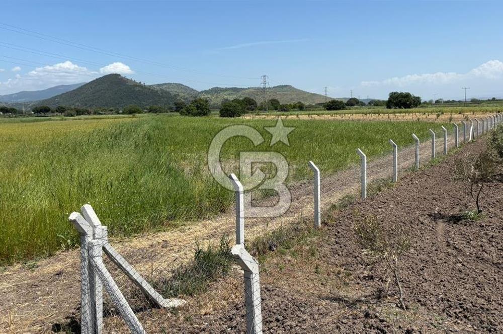 C.B. ROUTE | DİKİLİ İSMETPAŞA’DA YOLA CEPHE 4.628 m² SATILIK TARLA