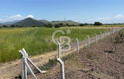C.B. ROUTE | DİKİLİ İSMETPAŞA’DA YOLA CEPHE 4.628 m² SATILIK TARLA