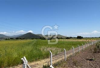 C.B. ROUTE | DİKİLİ İSMETPAŞA’DA YOLA CEPHE 4.628 m² SATILIK TARLA - 12 - 350619