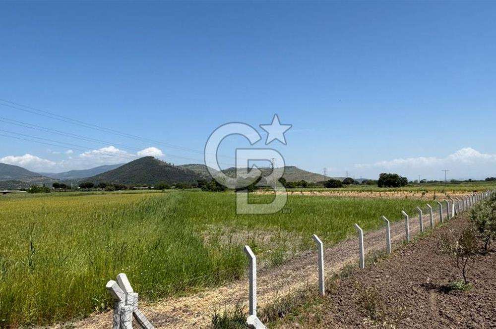 C.B. ROUTE | DİKİLİ İSMETPAŞA’DA YOLA CEPHE 4.628 m² SATILIK TARLA