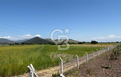 C.B. ROUTE | DİKİLİ İSMETPAŞA’DA YOLA CEPHE 4.628 m² SATILIK TARLA