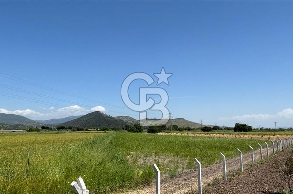 C.B. ROUTE | DİKİLİ İSMETPAŞA’DA YOLA CEPHE 4.628 m² SATILIK TARLA