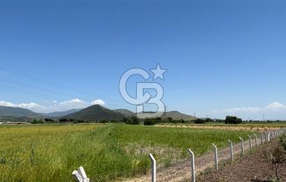 C.B. ROUTE | DİKİLİ İSMETPAŞA’DA YOLA CEPHE 4.628 m² SATILIK TARLA