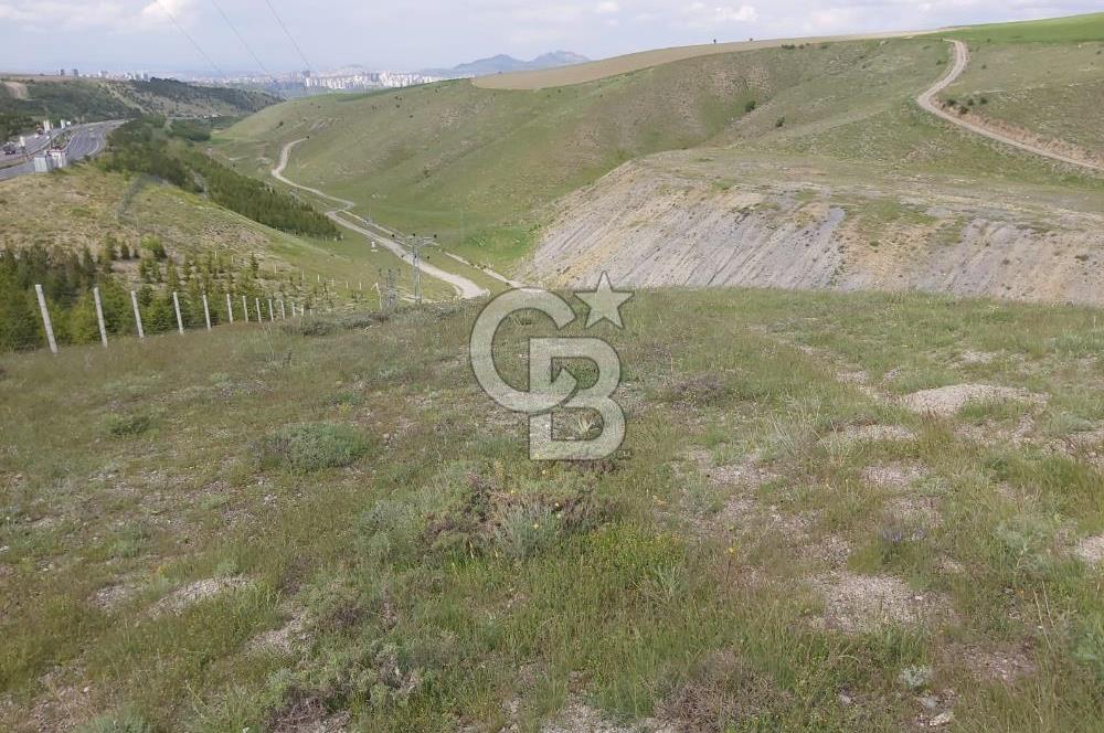 CB SITKI ŞİMŞEK'TEN ÇANKAYA KARATAŞTA KÖK TAPU SATILIK ARSA