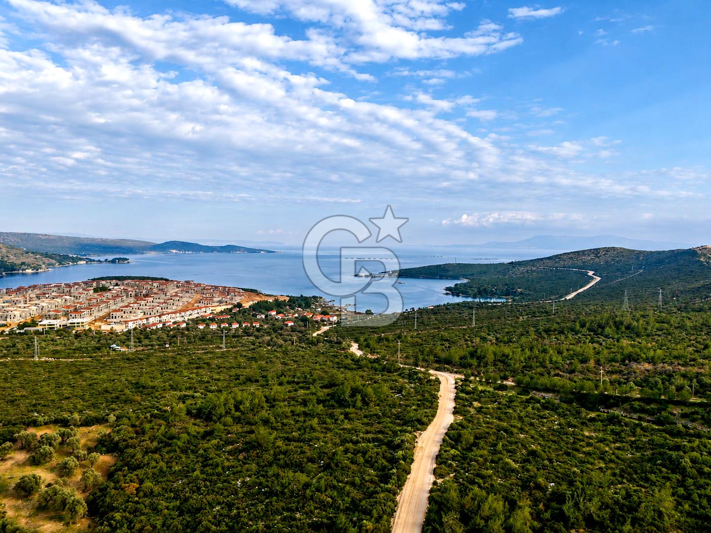 Mordoğan'da Satılık 5.033 m2 Deniz Manzaralı Tarla