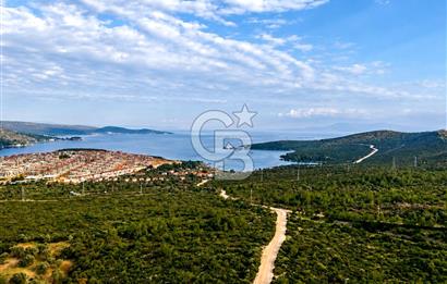Mordoğan'da Satılık 5.033 m2 Deniz Manzaralı Tarla