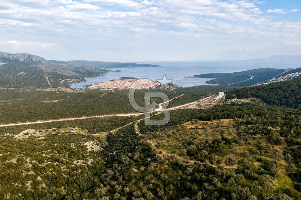 Mordoğan'da Satılık 5.033 m2 Deniz Manzaralı Tarla