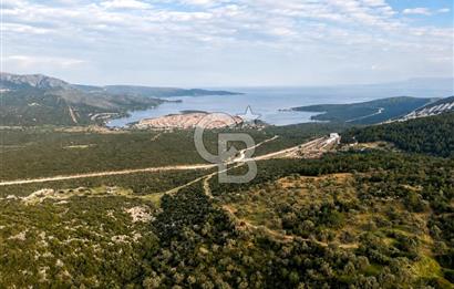 Mordoğan'da Satılık 5.033 m2 Deniz Manzaralı Tarla