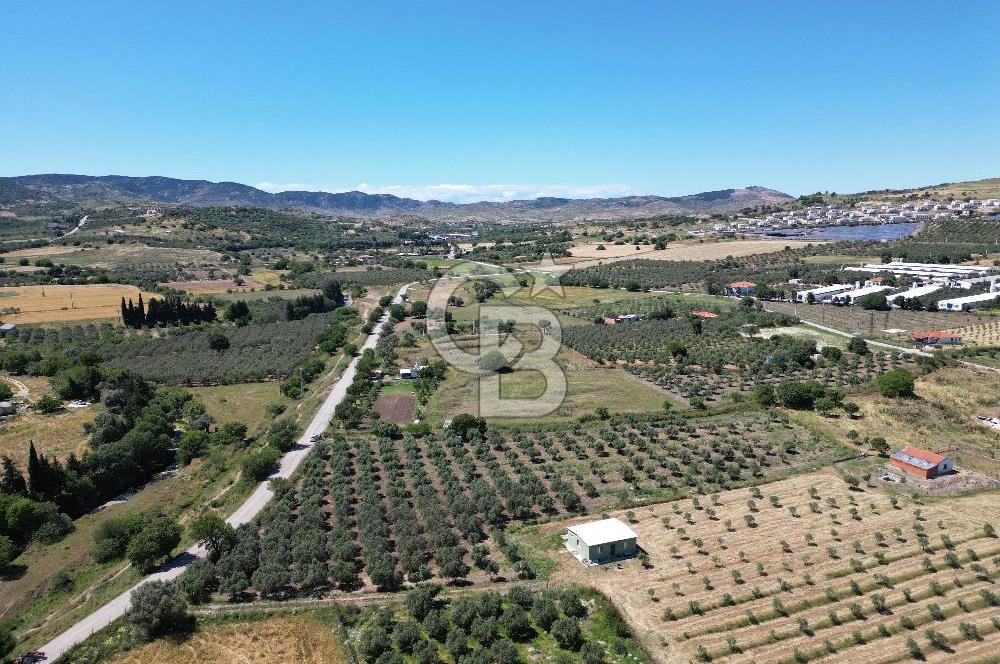 YENİBAĞARASI’NDA ASFALT YOLA CEPHELİ İMARA 500 M. SATILIK TARLA