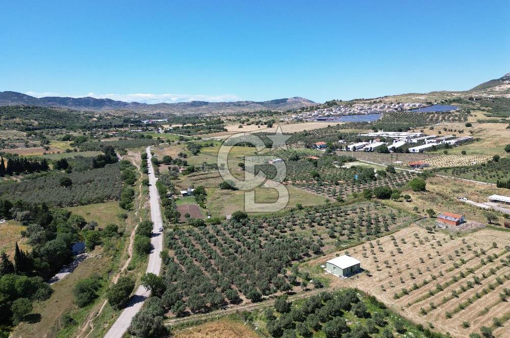 YENİBAĞARASI’NDA ASFALT YOLA CEPHELİ İMARA 500 M. SATILIK TARLA