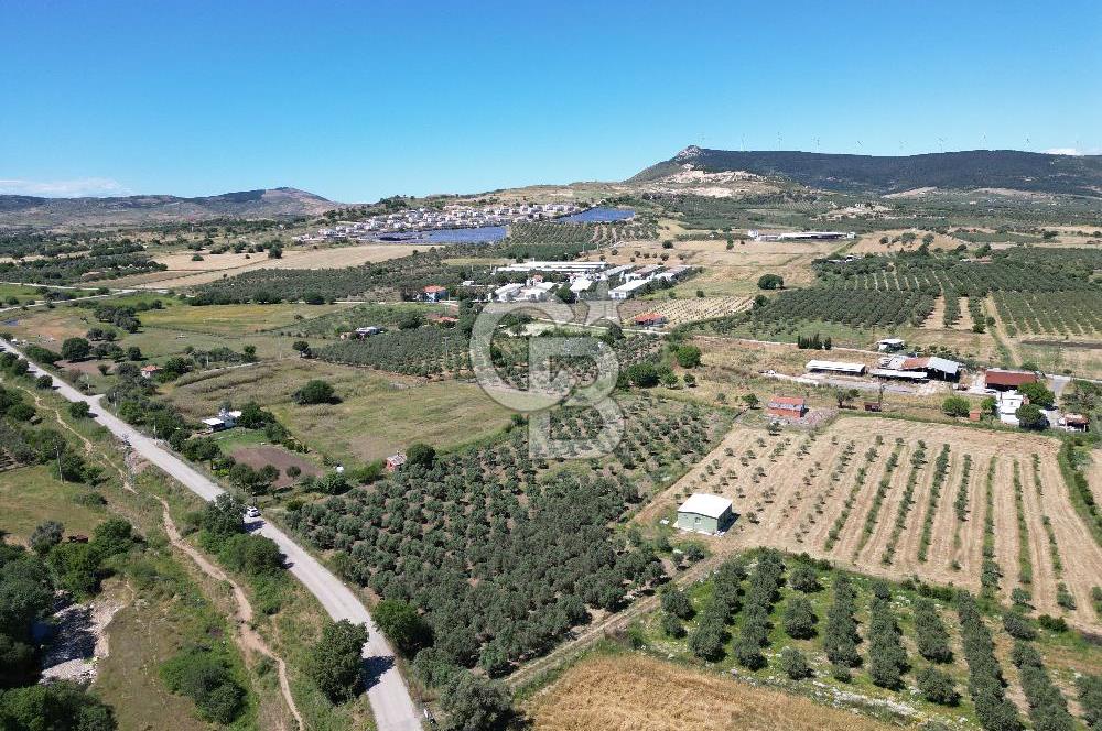 YENİBAĞARASI’NDA ASFALT YOLA CEPHELİ İMARA 500 M. SATILIK TARLA