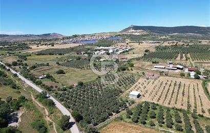YENİBAĞARASI’NDA ASFALT YOLA CEPHELİ İMARA 500 M. SATILIK TARLA