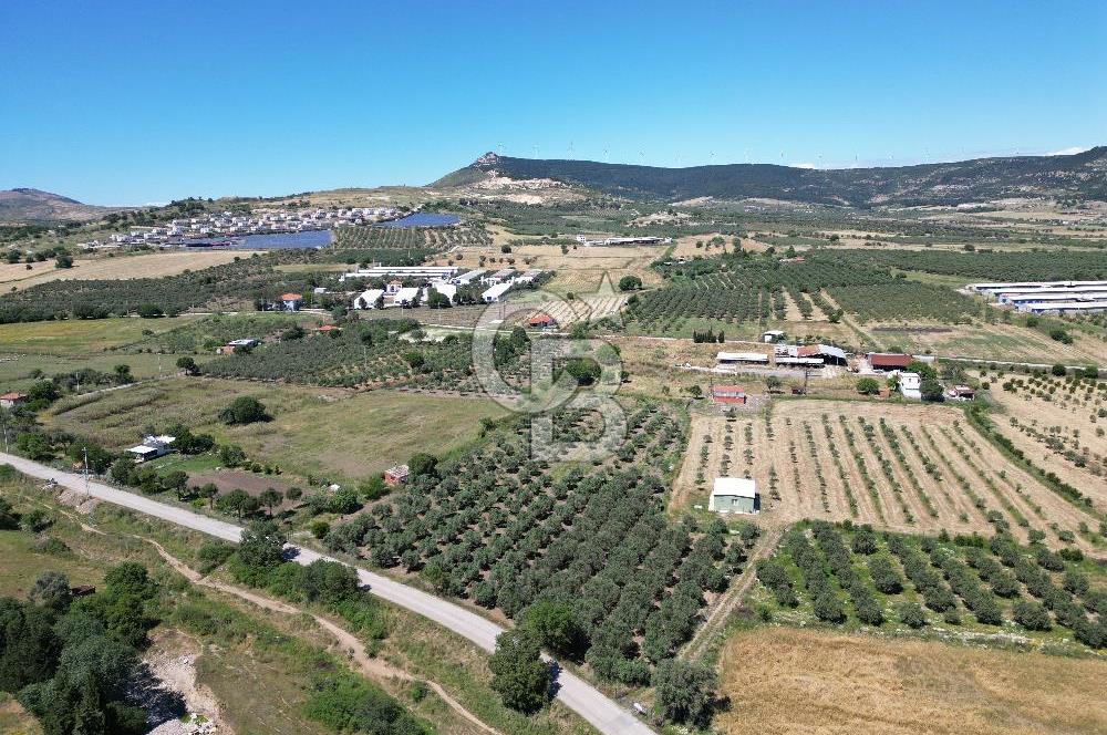 YENİBAĞARASI’NDA ASFALT YOLA CEPHELİ İMARA 500 M. SATILIK TARLA