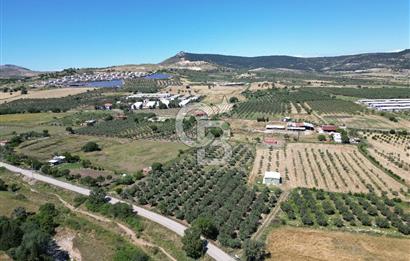 YENİBAĞARASI’NDA ASFALT YOLA CEPHELİ İMARA 500 M. SATILIK TARLA