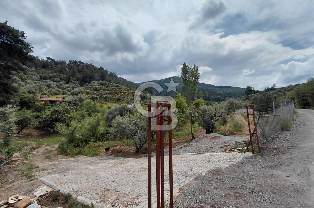 Kemalpaşa yukarıkızılca'da ev'li bağ bahçe
