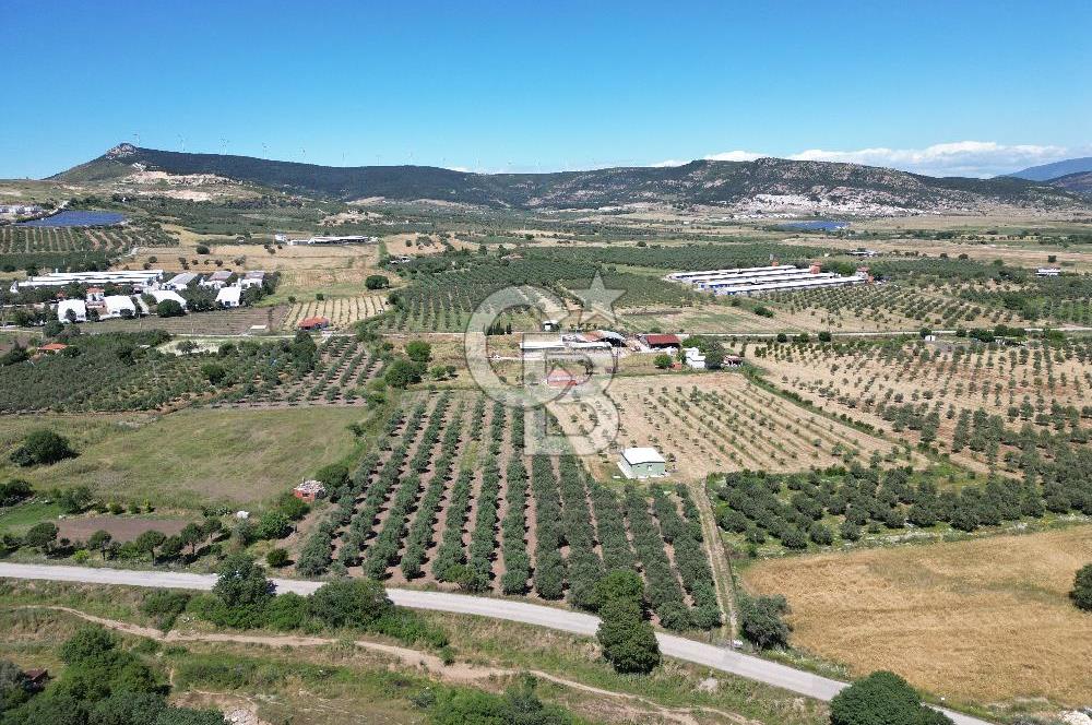 YENİBAĞARASI’NDA ASFALT YOLA CEPHELİ İMARA 500 M. SATILIK TARLA