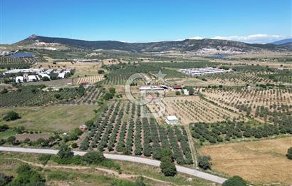 YENİBAĞARASI’NDA ASFALT YOLA CEPHELİ İMARA 500 M. SATILIK TARLA