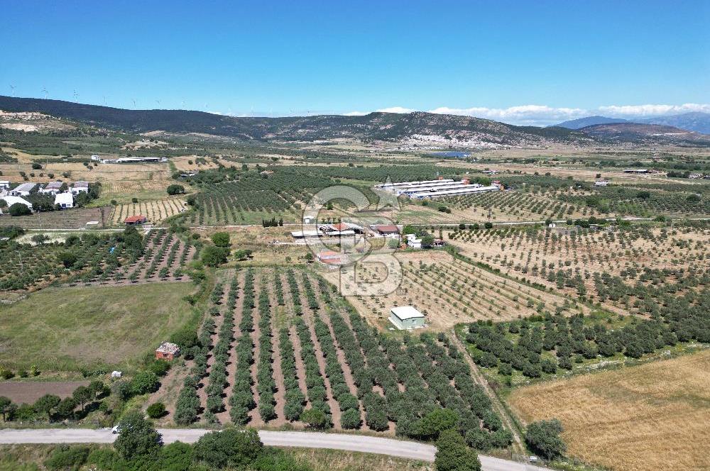YENİBAĞARASI’NDA ASFALT YOLA CEPHELİ İMARA 500 M. SATILIK TARLA