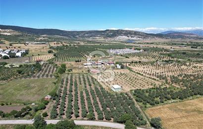 YENİBAĞARASI’NDA ASFALT YOLA CEPHELİ İMARA 500 M. SATILIK TARLA
